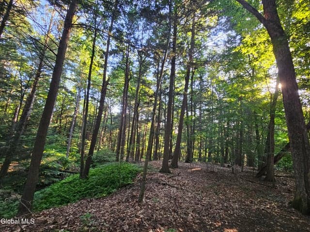 35 Via Maria Drive, Schenectady, NY, photo 5