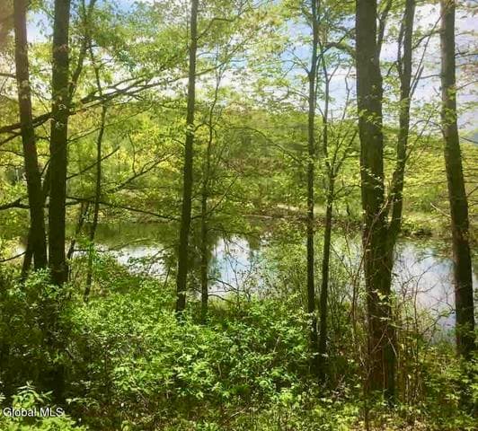 72 Ash Drive, Queensbury, NY, photo 4