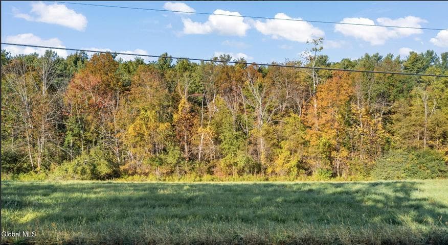 0 Snydertown Road, Claverack, NY, photo 1
