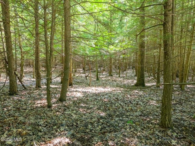 L3 Bridge Road, Middleburgh, NY, photo 2