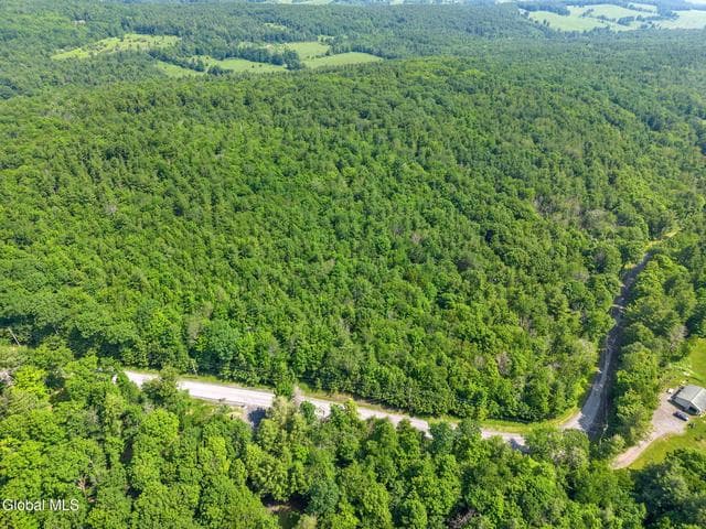 L3 Bridge Road, Middleburgh, NY, photo 4