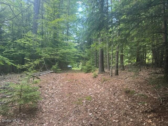 317 Waddell Road, Johnsburg, NY, photo 4
