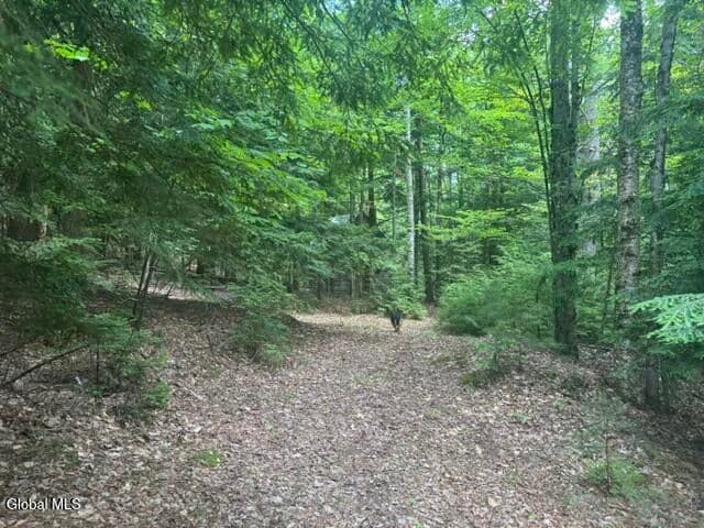 317 Waddell Road, Johnsburg, NY, photo 5