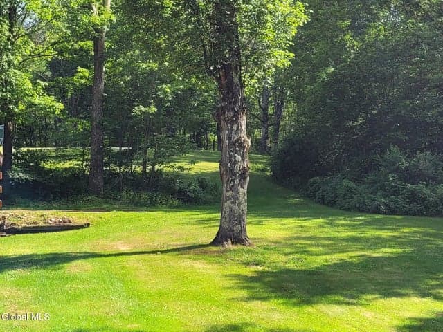 119 Brown House Road, Conesville, NY, photo 5