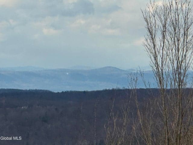 L3 & 3.1 Sunset Way, Jackson, NY, photo 4