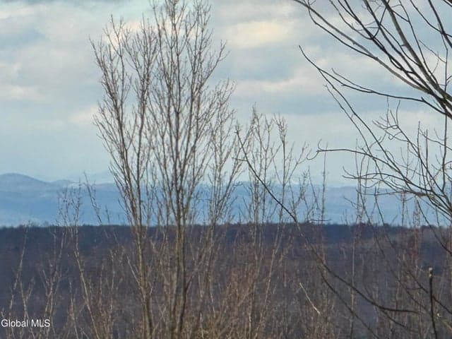 L3 & 3.1 Sunset Way, Jackson, NY, photo 5