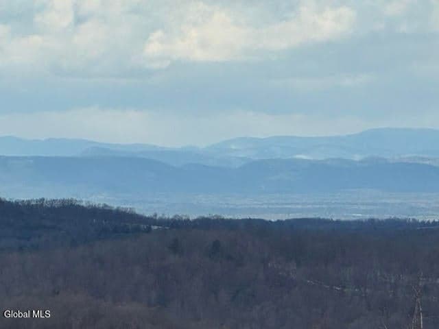 L3 & 3.1 Sunset Way, Jackson, NY, photo 3