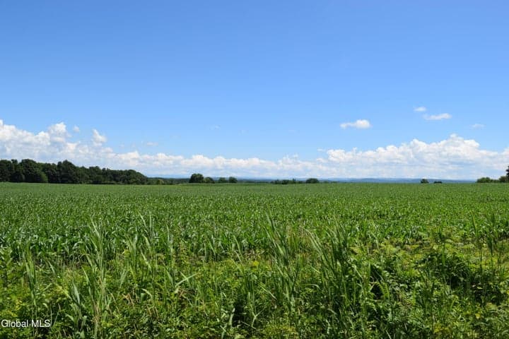 115 Farm To Market Road, Halfmoon, NY