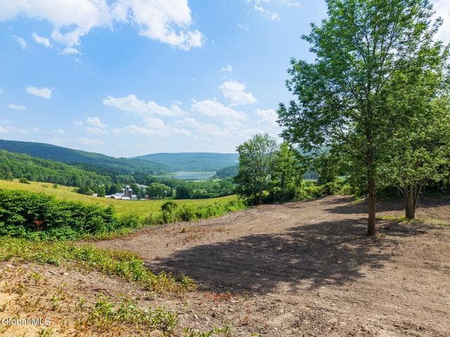 132 Debar Hill, Middleburgh, NY, photo 3