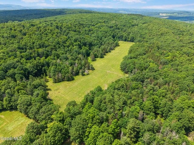 511 Willsie Road, Berne, NY, photo 3