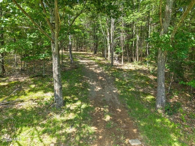 511 Willsie Road, Berne, NY, photo 5
