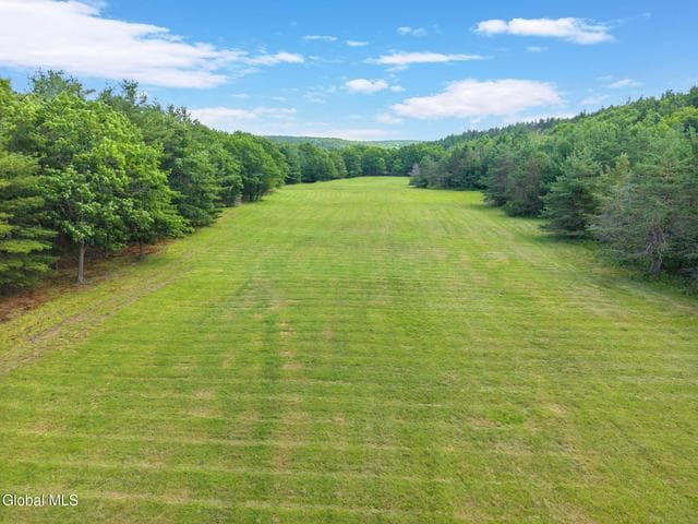 511 Willsie Road, Berne, NY, photo 5