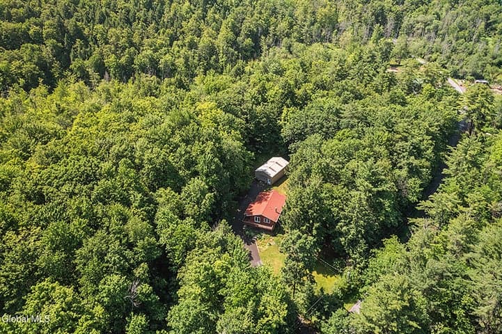 421 W Shore Road, Delanson, NY, photo 3