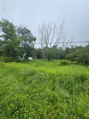707 S Mountain Road, Conesville, NY, photo 2