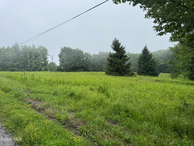 0 Cook Road, Conesville, NY, photo 3