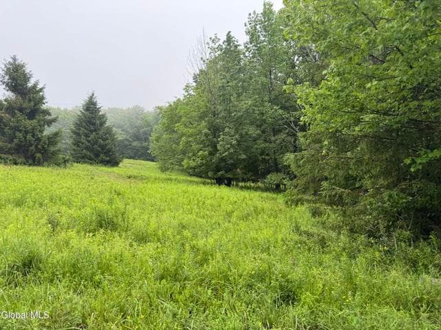 0 Cook Road, Conesville, NY, photo 4