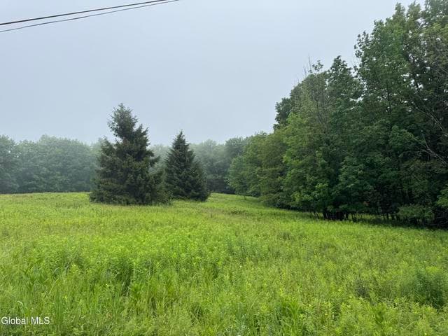 0 Cook Road, Conesville, NY, photo 5