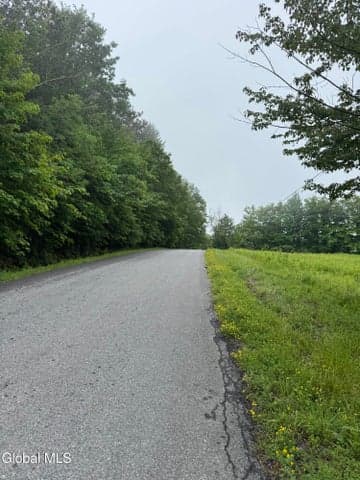 0 Cook Road, Conesville, NY, photo 2