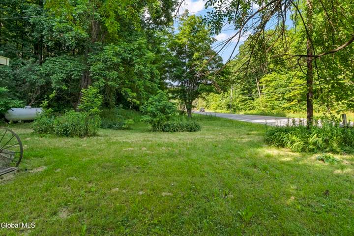 3798 Duanesburg Road, Princetown, NY, photo 4