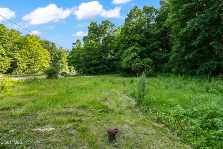3798 Duanesburg Road, Princetown, NY, photo 5
