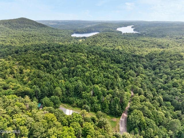 296 Lake Nebo Road, Fort Ann, NY, photo 3