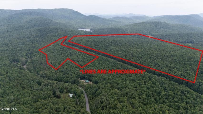 L50 Gilmantown Road, Wells, NY, photo 2