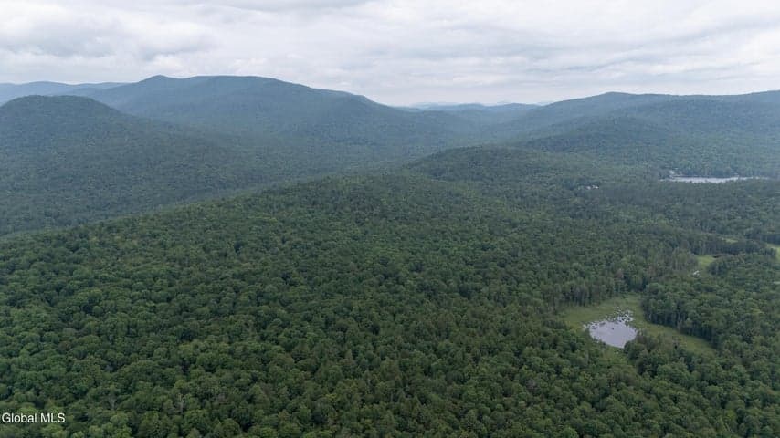 L50 Gilmantown Road, Wells, NY, photo 4