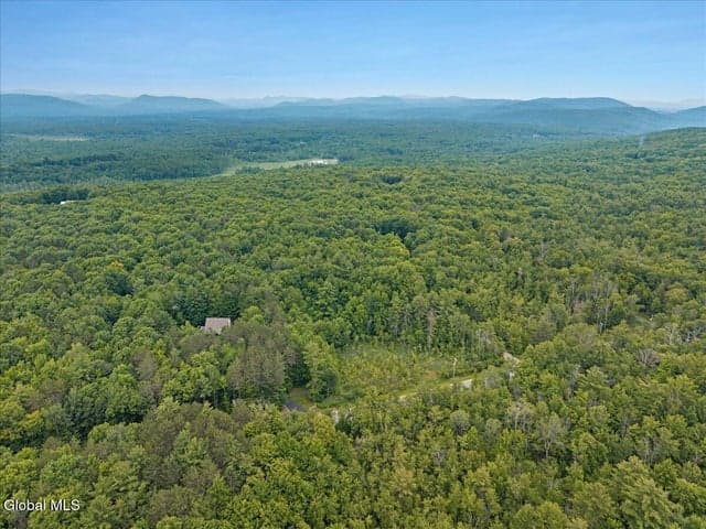 50 Lincoln Mountain Road, Greenfield, NY, photo 2