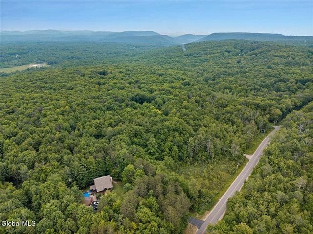 50 Lincoln Mountain Road, Greenfield, NY, photo 3