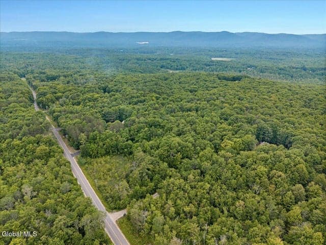 50 Lincoln Mountain Road, Greenfield, NY, photo 4