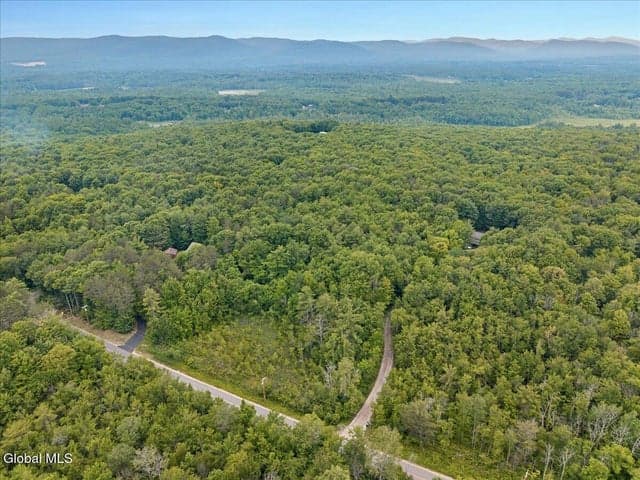 50 Lincoln Mountain Road, Greenfield, NY, photo 5