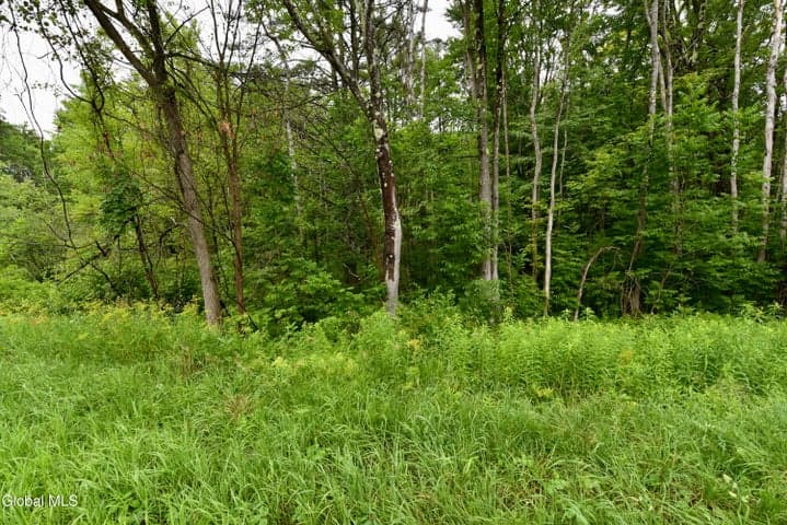 3241 Nys Rt 9N, Greenfield, NY, photo 2