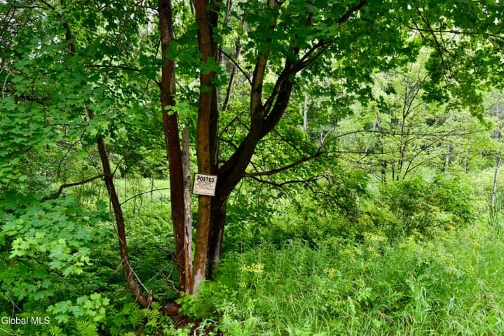 3241 Nys Rt 9N, Greenfield, NY, photo 4