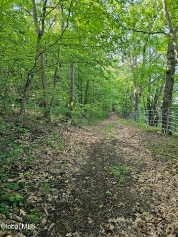 L-11 Earls Road, Middleburgh, NY, photo 5