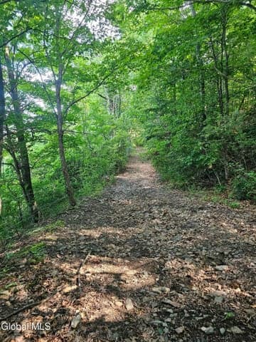 L-11 Earls Road, Middleburgh, NY, photo 4