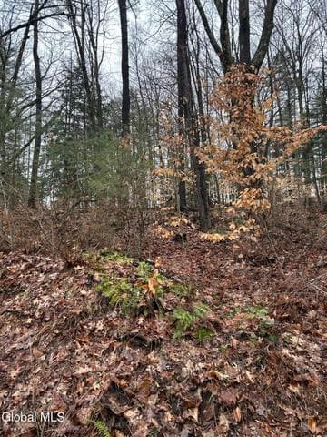 27 S Copeland Pond Way, Fort Ann, NY, photo 3