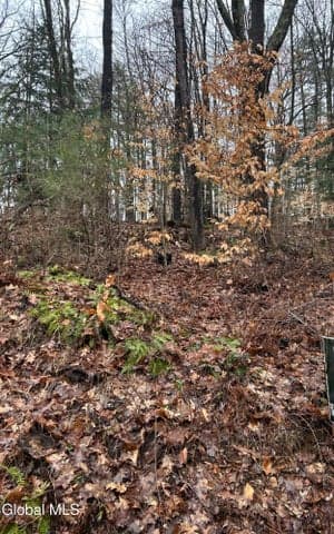 27 S Copeland Pond Way, Fort Ann, NY, photo 4