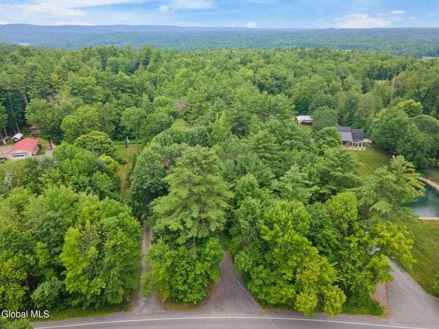 L21 Call Street, Lake Luzerne, NY, photo 4