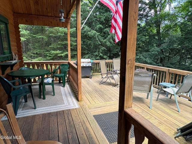 36 Don Potter Road, Thurman, NY, photo 4