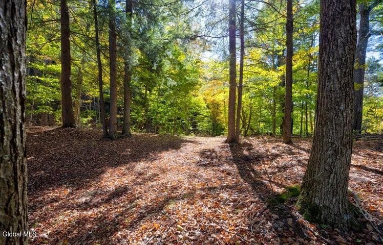 L 5 Fox Hill Road, Edinburg, NY, photo 5