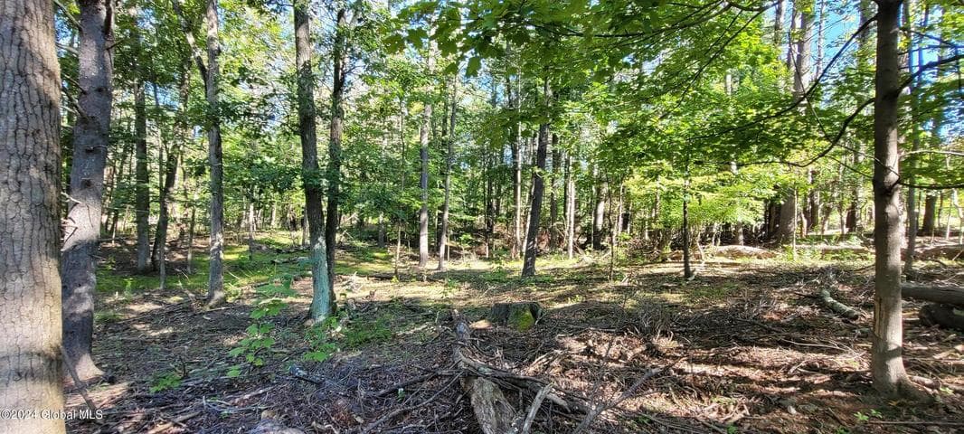 L20 High Hill Road, Coxsackie, NY, photo 1