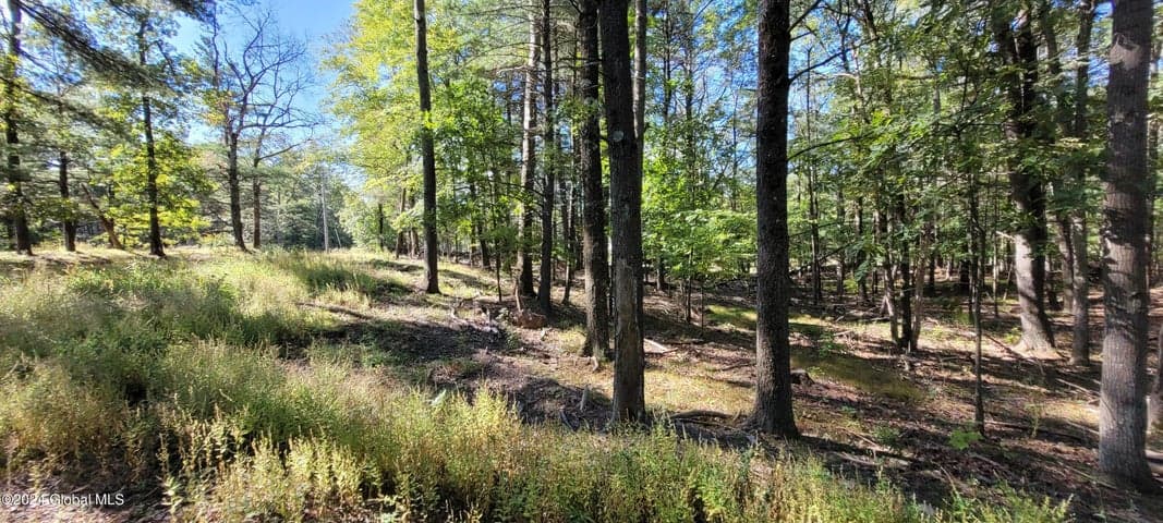 L20 High Hill Road, Coxsackie, NY, photo 3