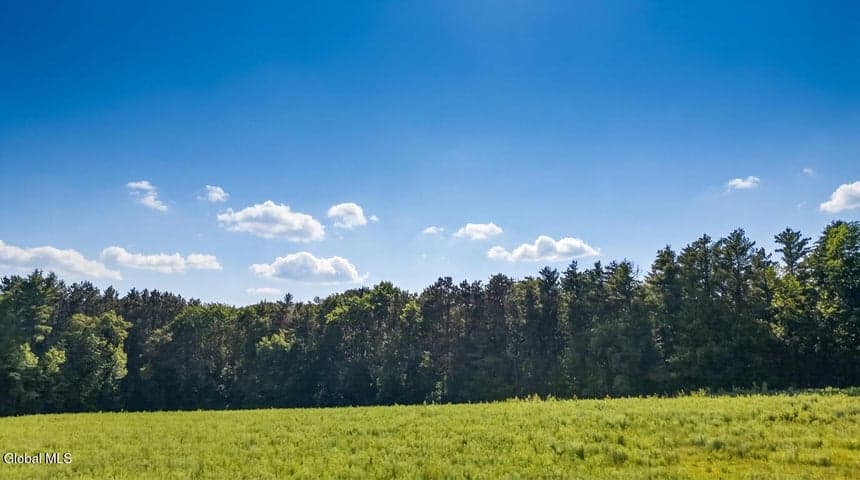 L14.02 Hinman Road, Middlefield, NY, photo 4