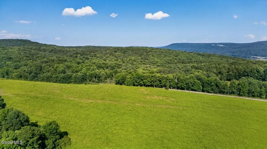 L14.02 Hinman Road, Middlefield, NY, photo 5