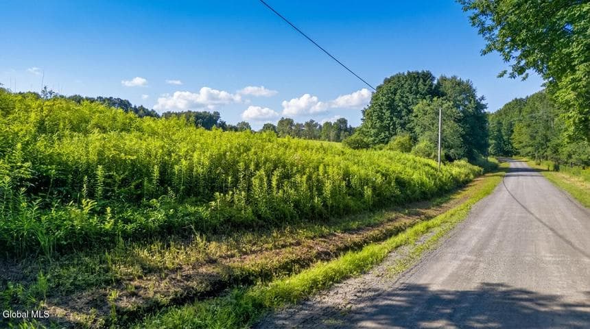 L14.01 Hinman Road, Middlefield, NY, photo 3