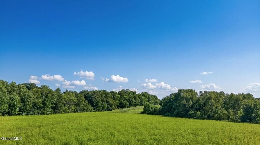 L14.01 Hinman Road, Middlefield, NY, photo 4