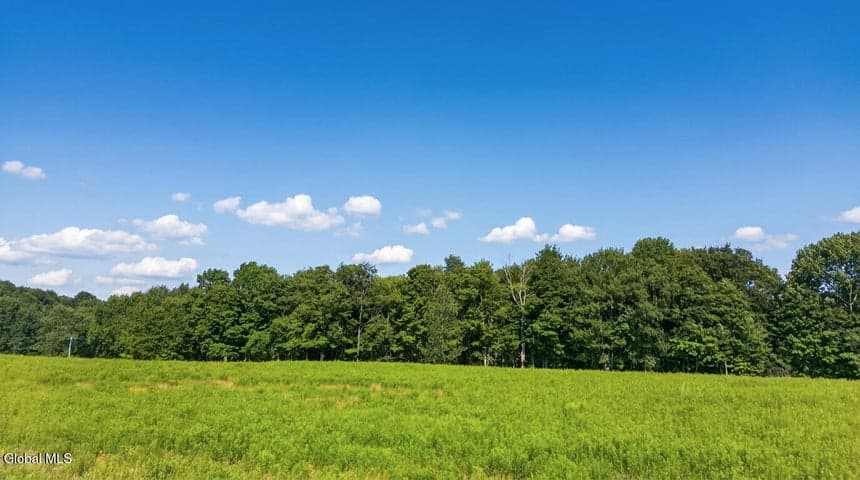 L14.01 Hinman Road, Middlefield, NY, photo 5