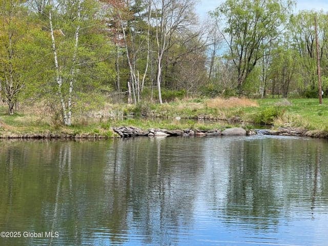 138 Vienna Woods Road, Cairo, NY, photo 4