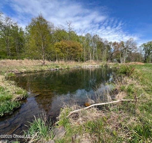 138 Vienna Woods Road, Cairo, NY, photo 5