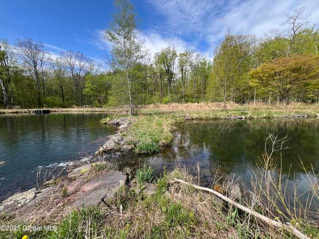 138 Vienna Woods Road, Cairo, NY, photo 5